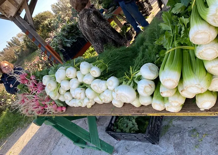 Holiday home Onda Marina